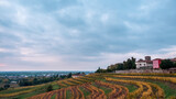 Fototapeta Niebo - Autumn sunset in the vineyards of Collio Friulano