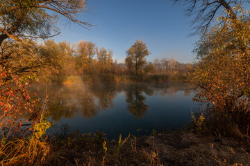 Wall Mural - beatiful autumn landscape with trees and fog