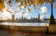 Panorama des Westminster Palastes und dem Big Ben Turm in London mit bunten Herbstblättern an den Bäumen und Sonnenschein, Großbritannien