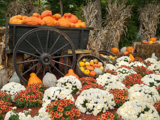 Autumn Cart