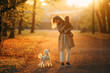 © Anna Averianova - girl and two dogs in an autumn park at sunset.. Walking with pet. Toy and small poodle in nature