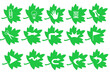 © aRzk - Web icon set in green leaf button, various icon set