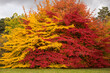 canvas print picture - Jahreszeiten | Herbst | Natur