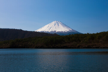 Poster - 西湖から見た富士山