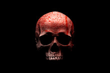 Front View Of Human Skull In Blood Isolated On Black Background With Clipping Path.