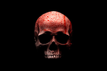 Fototapeta front view of human skull in blood isolated on black background with clipping path.