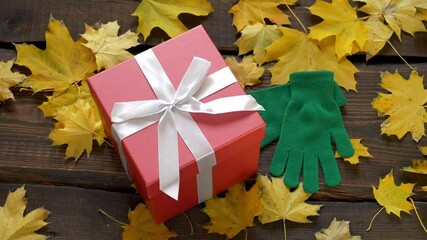 Wall Mural - green gloves and red gift box on wooden table with maple leaves