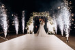 © dimadasha - Newlyweds on the background of the wedding arch. Night fireworks.