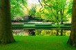 spring pond in park