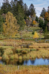 Wall Mural - étang tourbière des Vosges en automne