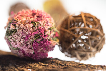 Wall Mural - Small pink dry flowers macro