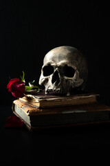 Human skull with rose resting on ancient books