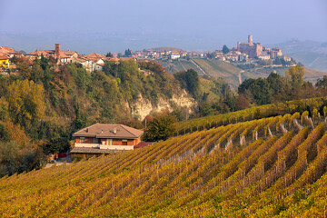 Wall Mural - Autumnal vineyards and hills of Langhe in Italy.