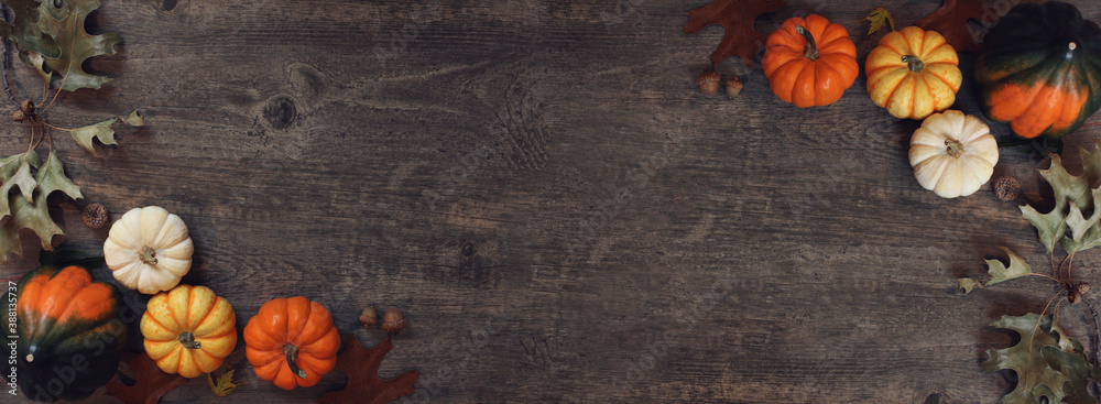 Fall Thanksgiving pumpkins, leaves, acorn squash border over rustic dark wood table background shot from directly above, horizontal with copy space - obrazy, fototapety, plakaty 