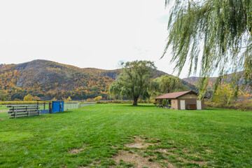 Sticker - A park in the autumn 
