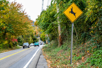 Canvas Print - Deer sign on the road