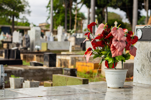 Fotomural Vaso de flores artificiais sobre um túmulo em cemitério.