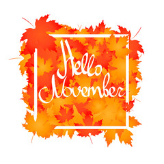 Hello November, calligraphy lettering, word design template, vector illustration