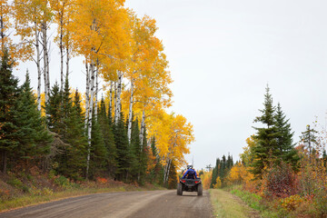 All terrain vehicle rolls down a dirt road in northern Minnesota alongside birches in fall color