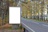 Fototapeta Na ścianę - Empty billboard by the road in a birch alley, mockup.