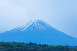 Fototapeta Sawanna - 朝霧高原からの富士山