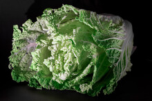 Freshly Harvested Green Leafy Cabbage For Cooking