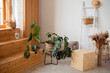 White room with wooden elements and green plants