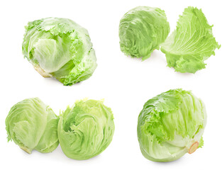 Wall Mural - Green Iceberg lettuce on White Background