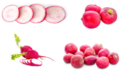 Wall Mural - Fresh garden radish isolated on white background