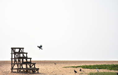 silhouette of a kite in a field