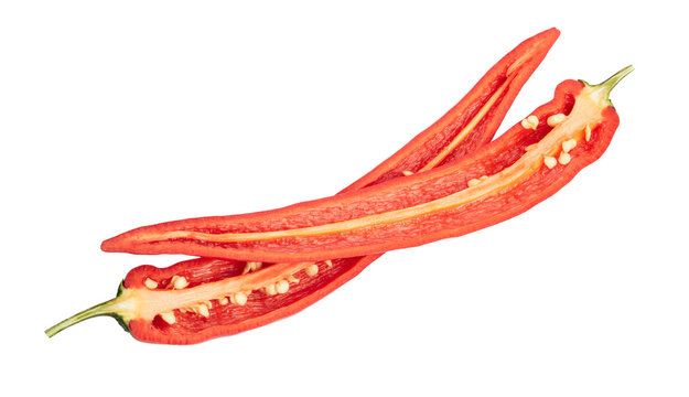 Red chili pepper isolated in white background