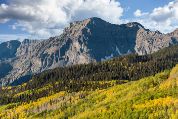 Wall Mural - Beautiful Autumn Color in the San Juan Mountains of Colorado.