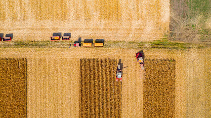 Aerial view of two combines, harvester machines are harvest ripe maize