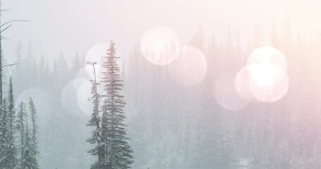 Sticker - Animation of winter scenery landscape with light spots mountains and fir trees covered in snow