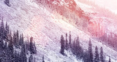 Sticker - Animation of winter scenery landscape with light spots mountains and fir trees covered in snow