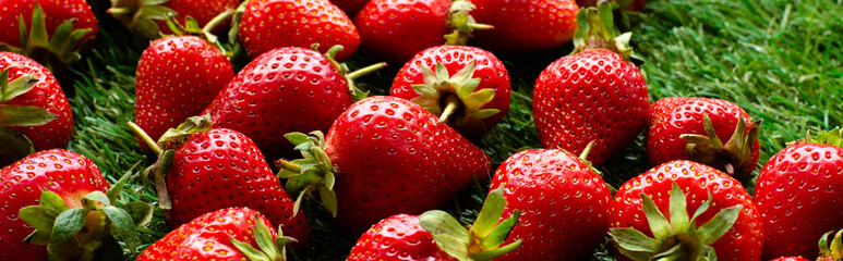 red fresh strawberries on green grass, close view