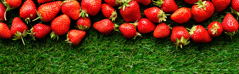 red fresh strawberries on green grass, close view