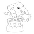 © Vitayuliaart - Cute baby elephant coloring page on white background