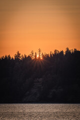 Wall Mural - sunrise over the trees