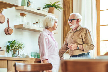 Senior couple discussing something in the kitchen