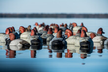Duck Decoys Floating On The Water