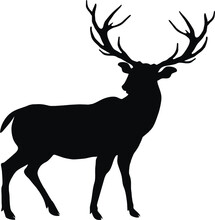 Deer Svg,deer Head Svg,deer Silhouette,deer Clipart,deer Dxf,deer Cut File,deer Vector,deer Hunting Svg,deer Clip Art,deer Cut Files,
