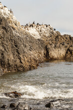 Cliff Full Of Birds, Cliff Covered With Guano