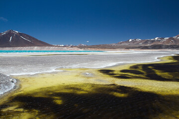 Volcanic landscape high in the cordillera. Panorama view of the yellow and black pond the natural salt flat, volcanoes, Andes mountains and the glacier water Green Lagoon in Catamarca, Argentina. 