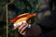 © ebraxas - Bratwurst mit Ketchup im Brötchen in Hand