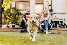 Running Dog In The Foreground With Mature Happy Couple In The Background Sitting On The Porch With Camper Van Behind