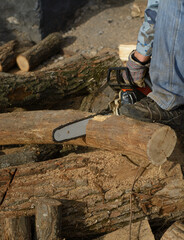 Wall Mural - Chainsaw and wood. Preparing firewood for winter