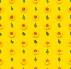 Fotomurales - Flower Seamless pattern. Beautiful fresh sunflower with green leaves on yellow background. Flat lay, top view. Autumn or summer Concept, harvest time, agriculture. Sunflower natural background