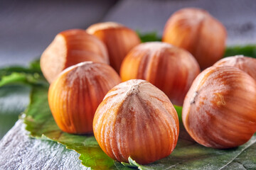 Wall Mural - Hazelnut.Hazelnut kernels lie on yellow autumn leaves.