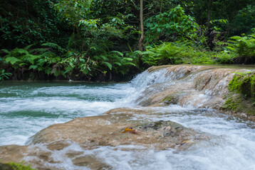 waterfall in the forest